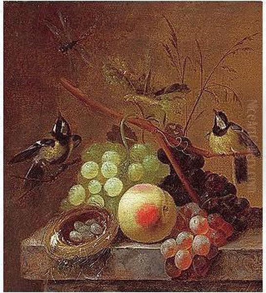 Still Life Of Grapes, A Peach And A Dragonfly, Together With Blue Tits And A Bird's Nest, Arranged Upon A Stone Ledge Oil Painting by Johannes Hendrick Fredriks