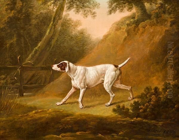 Brown And White Pointer Oil Painting by Thomas Fairbairn