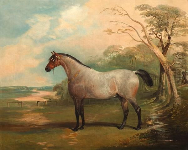 A Roan Stallion In A Park Landscape Oil Painting by James Freeman