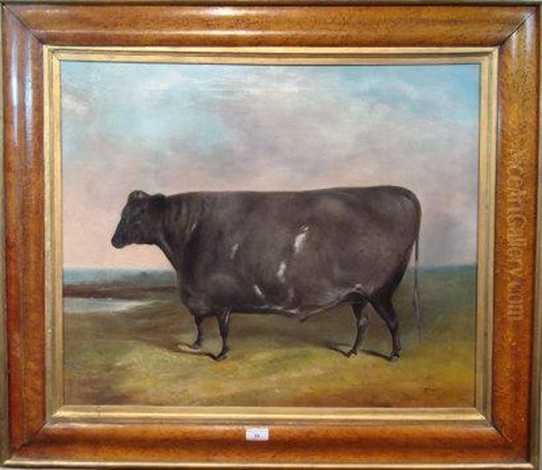 Naive Portrait Of A Fat Cow
 A Black And White Shorthorn Stood Within Landscape Oil Painting by James Freeman