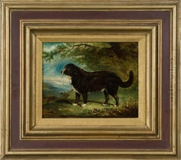 Portrait Of A Herding Dog Oil Painting by T.C Freeman