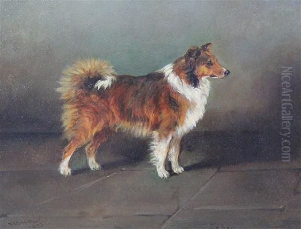 Portrait Of A Collie 'lady' Oil Painting by Frederick, Fred French