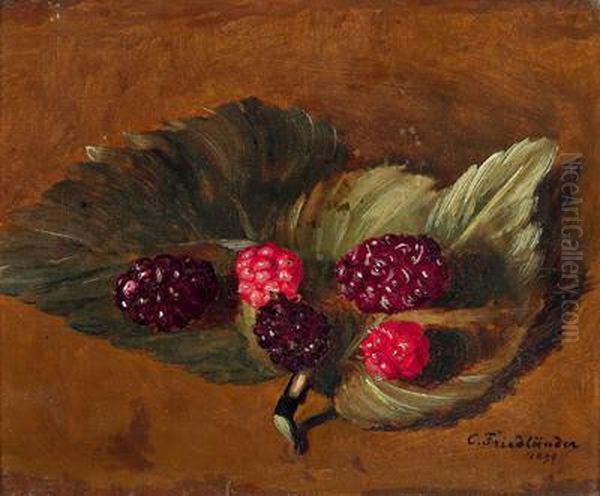 Waldbeeren Oil Painting by Camilla Friedlander