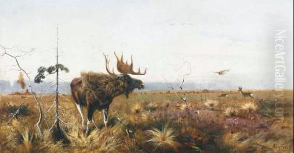 Moose And Deer Herd In An Extensive Landscape Oil Painting by Richard Bernhard L. Friese