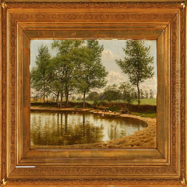 Ducks Around A Pond Oil Painting by Hans Gabriel Friis