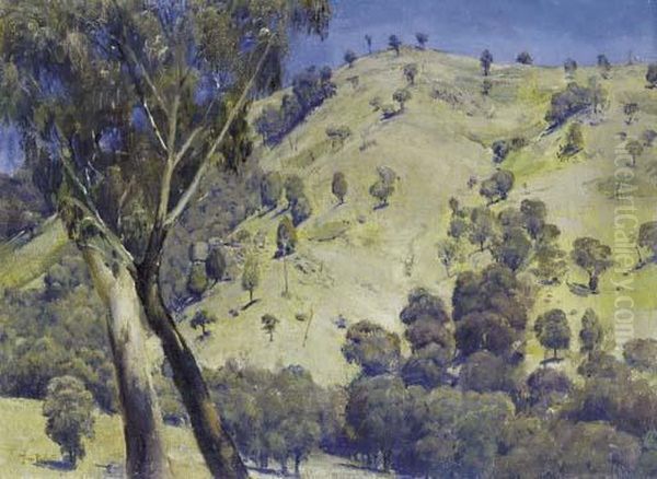 Dandenongs Landscape Oil Painting by Thomas William Roberts