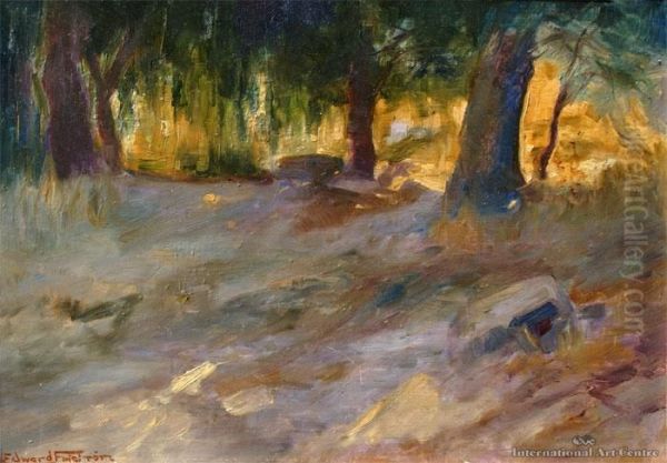 Sunshine & Shadow Queenstown Park Oil Painting by Claus Edward Fristrom