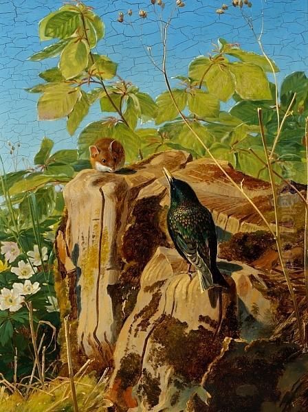 A Mouse And A Starling On A Tree Stump Oil Painting by Niels Fristrup