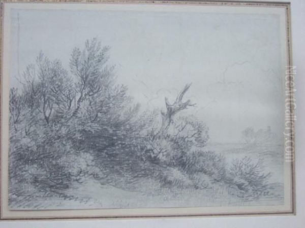 Sketch Of Bushes Oil Painting by George Frost