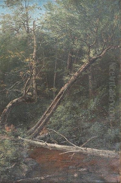 Forest Interior Oil Painting by George Albert Frost