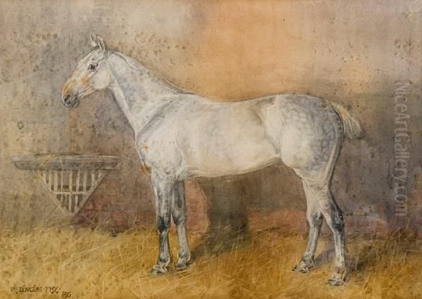 A Dappled Grey Horse In A Stable Oil Painting by Roger Fry