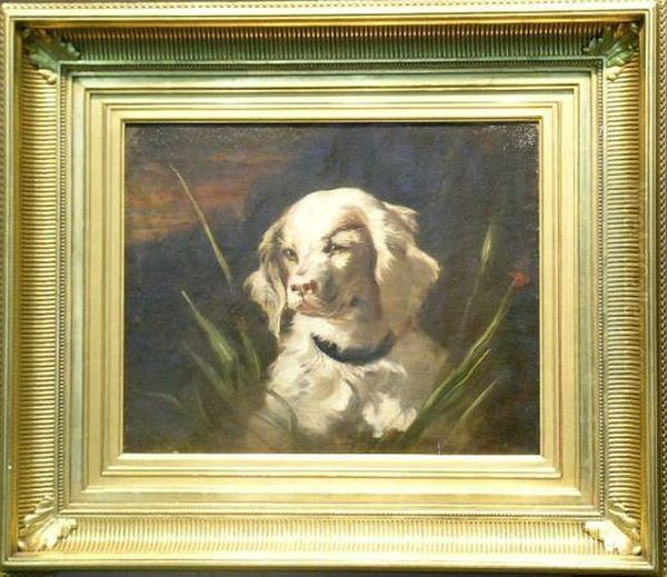 Portrait Of A Spaniel Oil Painting by James Fullerton Sloan