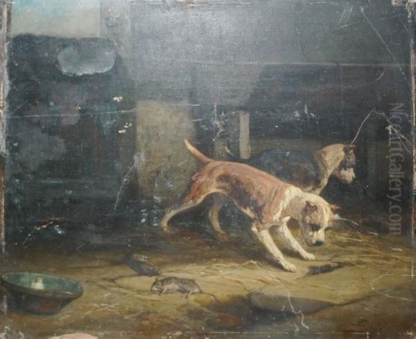 Chien Chassant Des Rats Oil Painting by Eugene Gabe