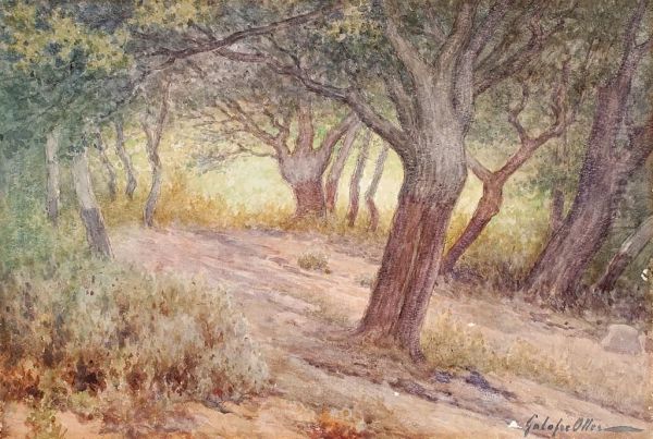 Bosque De Corcho. S(ant) Feliu De Guixols Oil Painting by Francisco Galofre Oller