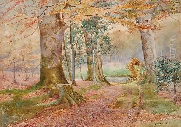 View Of A Wooded Path Oil Painting by William Biscombe Gardner