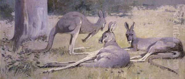 Three Grey Kangaroos Oil Painting by Henry Glede Garlick