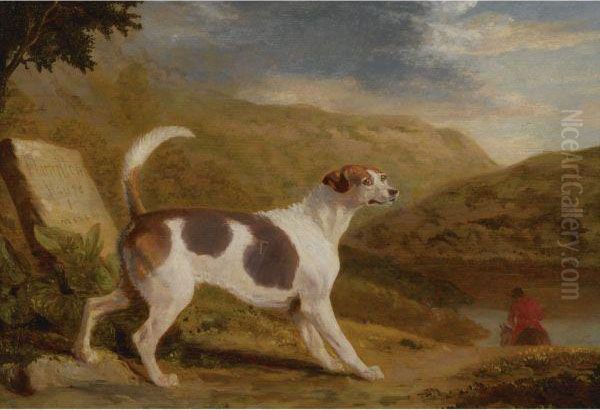 Colonel Thornton's Hound 'lucifer' In A Scottish Landscape Oil Painting by George Garrard