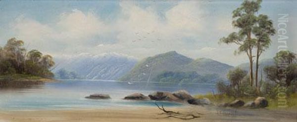 South Island Landscape Oil Painting by Edmund Henry Garrett