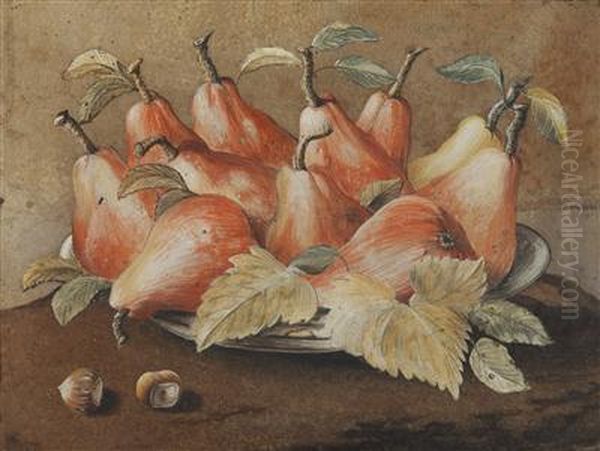 A Still Life With Pears And Hazelnuts Oil Painting by Giovanna Garzoni