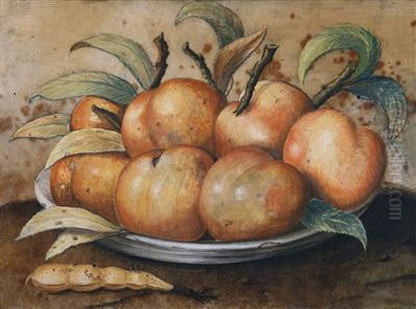 A Still Life With Peaches And Carobpods Oil Painting by Giovanna Garzoni