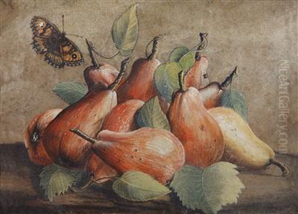 A Still Life With Peaches And Abutterfly Oil Painting by Giovanna Garzoni