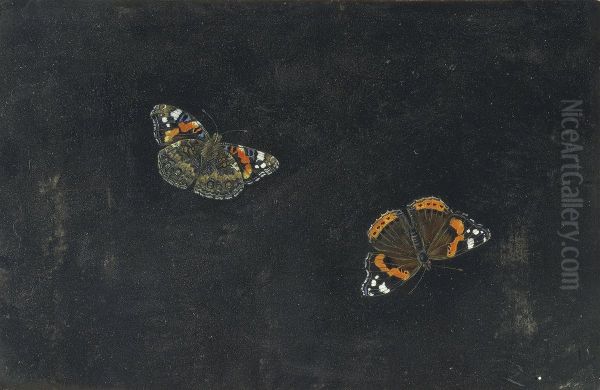 Two Butterflies Oil Painting by Giovanna Garzoni