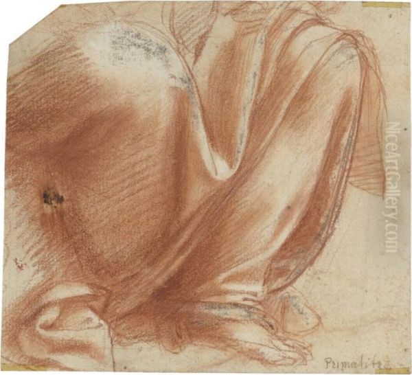 Drapery Study For The Lower Half Of A Seated Figure Oil Painting by Bernardino Gatti, Il Sojaro