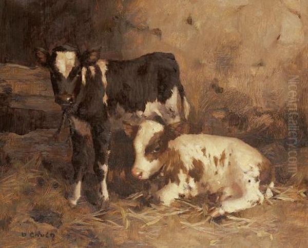 Two Calves In A Byre Oil Painting by David Gauld