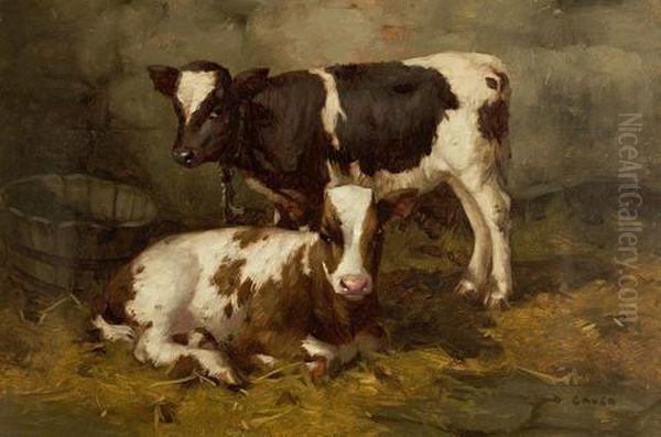 Two Calves Oil Painting by David Gauld