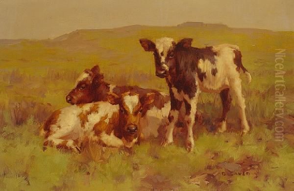 Three Calves On A Hillside Oil Painting by David Gauld