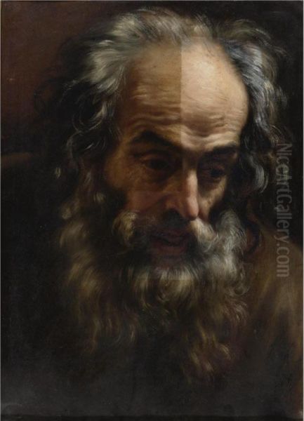 Head Of An Old Man Oil Painting by Giovanni Battista (Baciccio) Gaulli