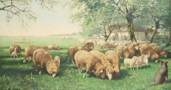 Sheep In The Meadow Oil Painting by Franz Geerts