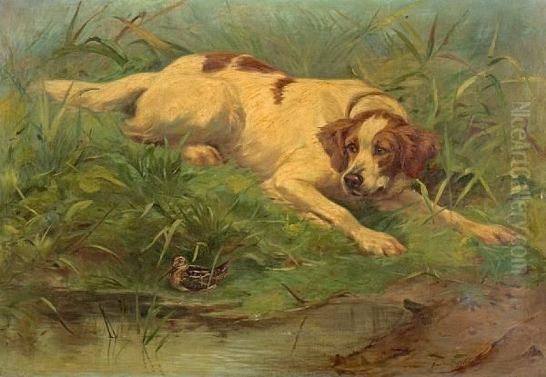 The Dog And The Woodcock Oil Painting by Gaston Gelibert