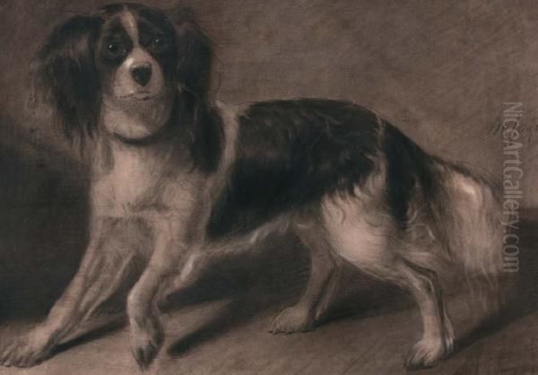 Portret Van Een Cavalier King Spaniel Oil Painting by Bernard te Gempt