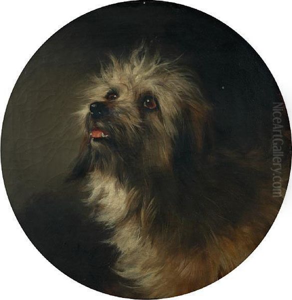 Portrait Of A Terrier Oil Painting by George Earl