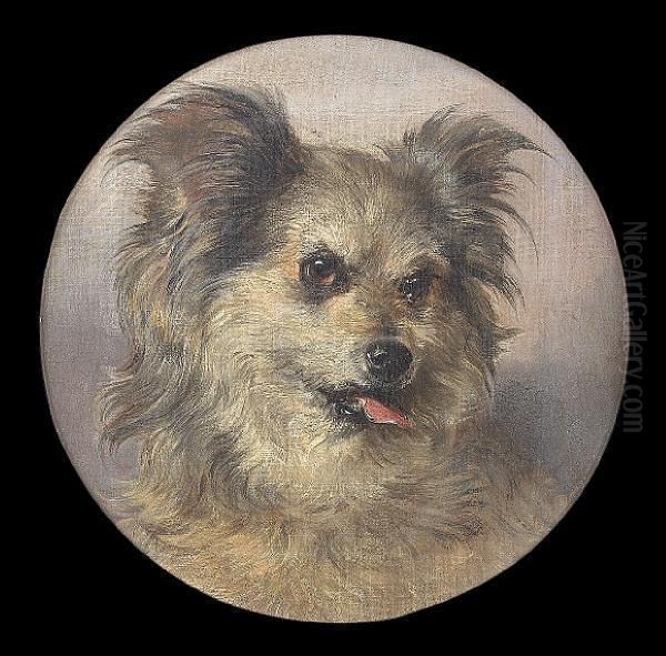 A Rough-coated Terrier Oil Painting by George Earl