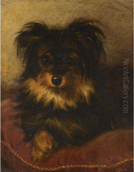 A Yorkshire Terrier On A Cushion Oil Painting by George Earl