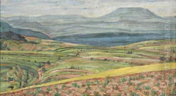 Weitewiesenlandschaft Oil Painting by Alexander Gerbig