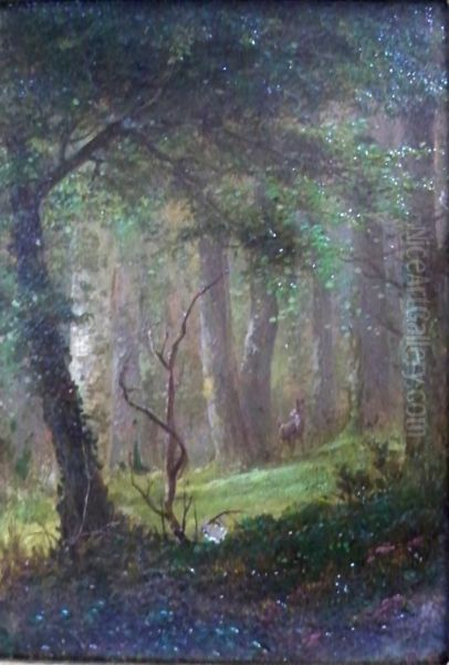 Forest Interior With Deer Oil Painting by Herman Geyer