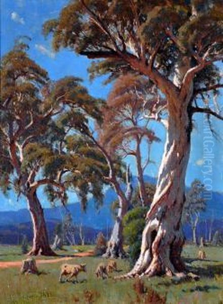 sunlit Gums, Macedon by Robert Edgar Taylor Ghee