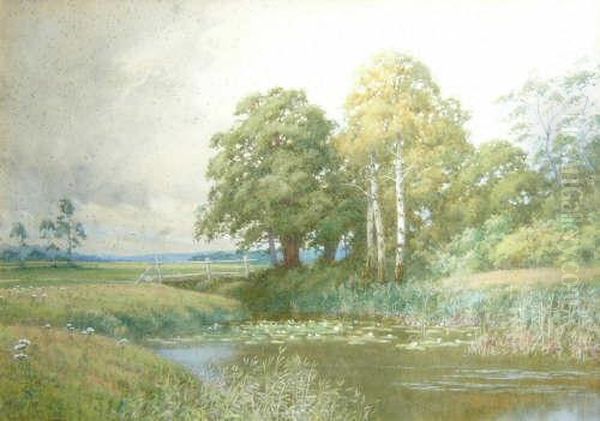 Lilly Pond In A Meadow Oil Painting by Peter Ghent