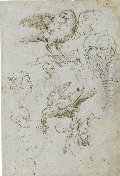 Studies After Raphael's 'madonna Of The Fish' And Two Studies Of A Bird Oil Painting by Cristifano Doceno Gherardi