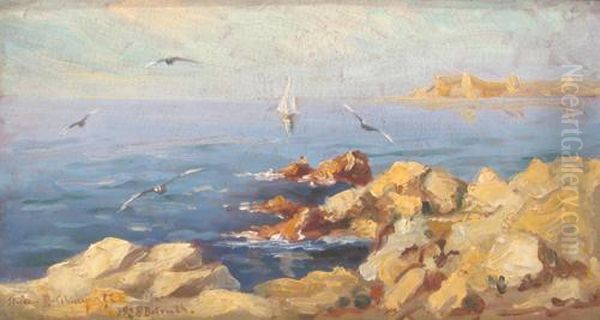 Rocky Shore Oil Painting by Stelian Popescu Ghimpati