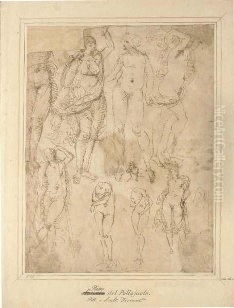 Studies After The Antique Oil Painting by Domenico Ghirlandaio