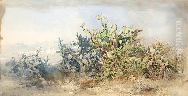 Cacti With Village In The Background Oil Painting by Angelos Giallina