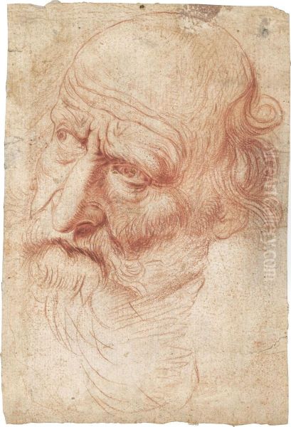 Head Of A Bearded Man Turned To The Left Oil Painting by Pietro Francesco Gianoli