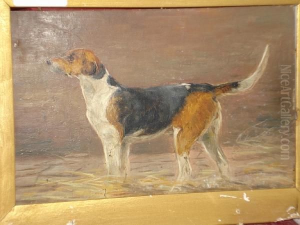 'trouncer' - A Foxhound In A Kennel,sketch Oil Painting by Thomas Henry Gibb