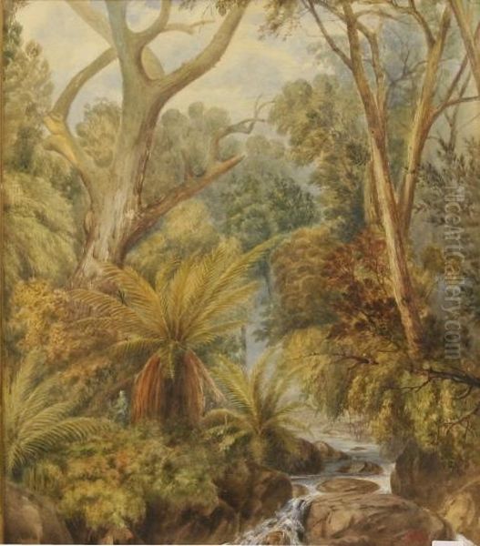 Bush Scene 1883 Oil Painting by Francis Blower Gibbes