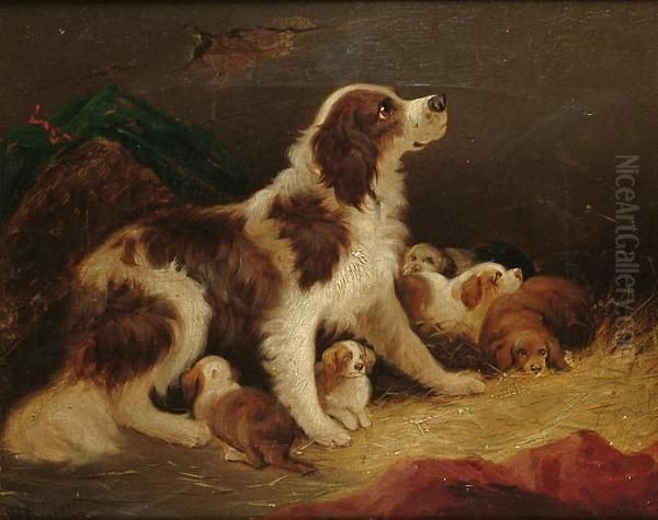 A Spaniel And Puppies Oil Painting by William Gibbons