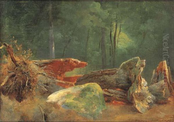 A Wooded Landscape With A Blasted Tree By A Rock Oil Painting by Jean-Baptiste-Adolphe Gibert